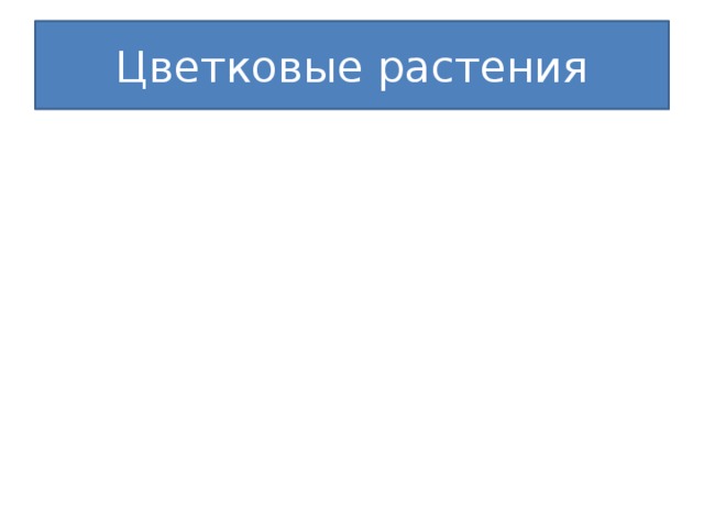Цветковые растения семена семена 
