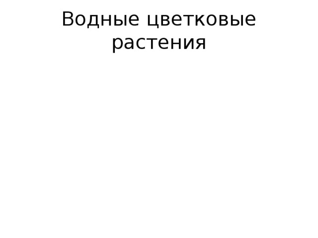 Водные цветковые растения Ряска, рогоз Кувшинка, тростник кубышка, камыш Ряска, рогоз Кувшинка, тростник кубышка, камыш 