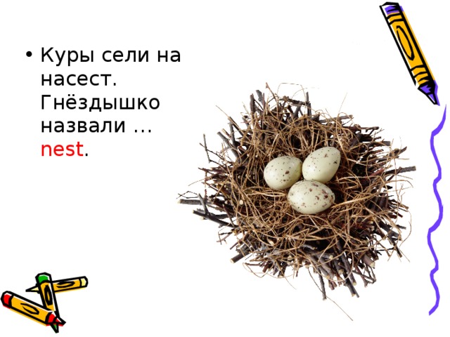 Куры сели на насест.   Гнёздышко назвали … nest .     