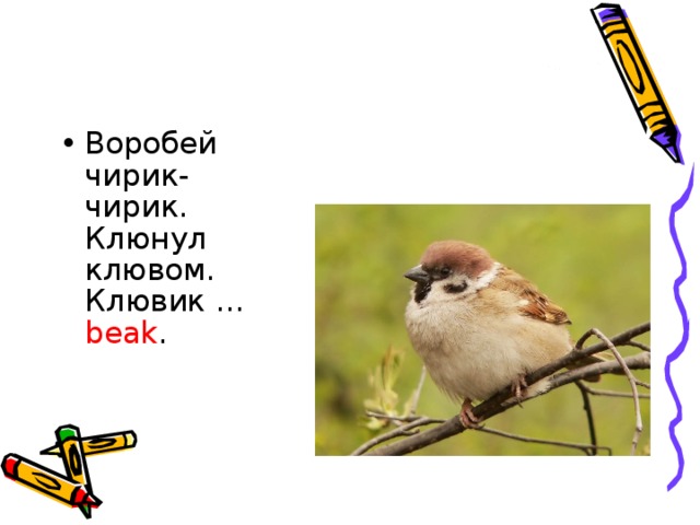 Воробей чирик-чирик.   Клюнул клювом. Клювик … beak .     