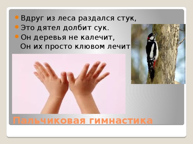 Раздается стук дятла и лес наполняется птичьим пением схема предложения