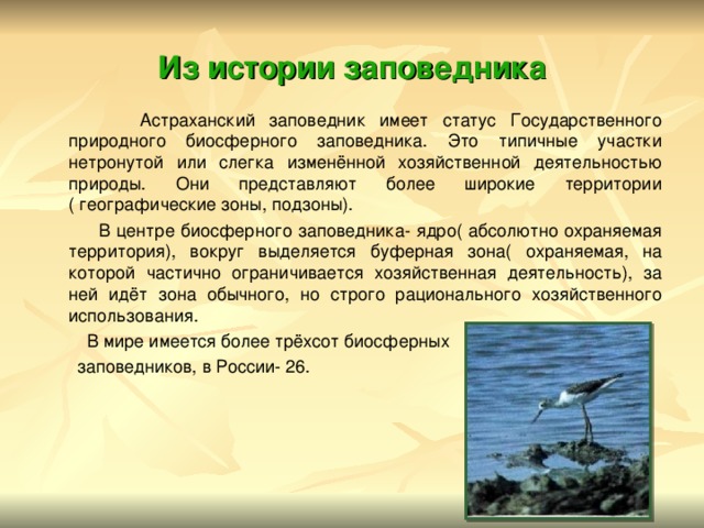 Из истории заповедника  Астраханский заповедник имеет статус Государственного природного биосферного заповедника. Это типичные участки нетронутой или слегка изменённой хозяйственной деятельностью природы. Они представляют более широкие территории ( географические зоны, подзоны).  В центре биосферного заповедника- ядро( абсолютно охраняемая территория), вокруг выделяется буферная зона( охраняемая, на которой частично ограничивается хозяйственная деятельность), за ней идёт зона обычного, но строго рационального хозяйственного использования.  В мире имеется более трёхсот биосферных  заповедников, в России- 26. 