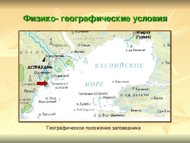 Физико- географические условия Географическое положение заповедника 