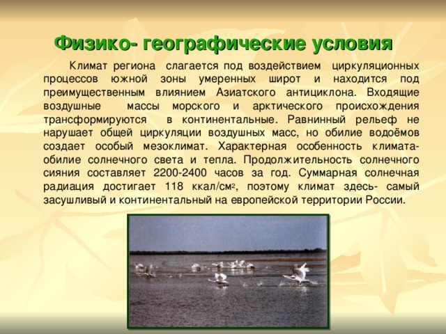 Физико- географические условия  Климат региона слагается под воздействием циркуляционных процессов южной зоны умеренных широт и находится под преимущественным влиянием Азиатского антициклона. Входящие воздушные массы морского и арктического происхождения трансформируются в континентальные. Равнинный рельеф не нарушает общей циркуляции воздушных масс, но обилие водоёмов создает особый мезоклимат. Характерная особенность климата- обилие солнечного света и тепла. Продолжительность солнечного сияния составляет 2200-2400 часов за год. Суммарная солнечная радиация достигает 118 ккал/см 2 , поэтому климат здесь- самый засушливый и континентальный на европейской территории России.  