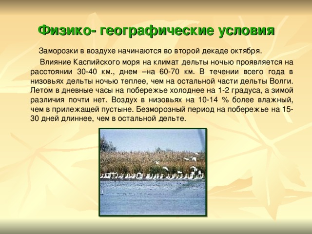 Физико- географические условия  Заморозки в воздухе начинаются во второй декаде октября.  Влияние Каспийского моря на климат дельты ночью проявляется на расстоянии 30-40 км., днем –на 60-70 км. В течении всего года в низовьях дельты ночью теплее, чем на остальной части дельты Волги. Летом в дневные часы на побережье холоднее на 1-2 градуса, а зимой различия почти нет. Воздух в низовьях на 10-14 % более влажный, чем в прилежащей пустыне. Безморозный период на побережье на 15-30 дней длиннее, чем в остальной дельте. 