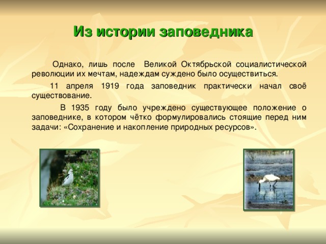 Из истории заповедника  Однако, лишь после Великой Октябрьской социалистической революции их мечтам, надеждам суждено было осуществиться.  11 апреля 1919 года заповедник практически начал своё существование.  В 1935 году было учреждено существующее положение о заповеднике, в котором чётко формулировались стоящие перед ним задачи: «Сохранение и накопление природных ресурсов». 