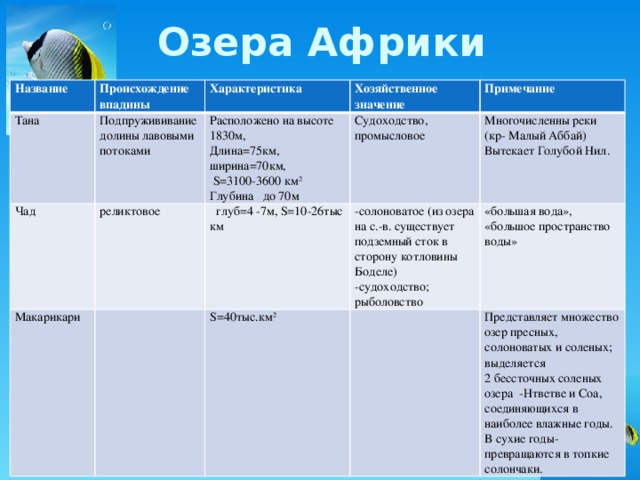 Озера Африки Название Происхождение Тана впадины Характеристика Подпружививание Чад Хозяйственное значение Макарикари долины лавовыми потоками Расположено на высоте 1830м, реликтовое  глуб=4 -7м, S=10-26тыс км Судоходство, промысловое Длина=75км, ширина=70км, Примечание Многочисленны реки (кр- Малый Аббай)  S=3100-3600 км 2 -солоноватое (из озера на с.-в. существует подземный сток в сторону котловины Боделе) S=40тыс.км 2 Вытекает Голубой Нил. Глубина до 70м -судоходство; рыболовство «большая вода», «большое пространство воды» Представляет множество озер пресных, солоноватых и соленых; выделяется 2 бессточных соленых озера -Нтветве и Соа, соединяющихся в наиболее влажные годы. В сухие годы-превращаются в топкие солончаки. 