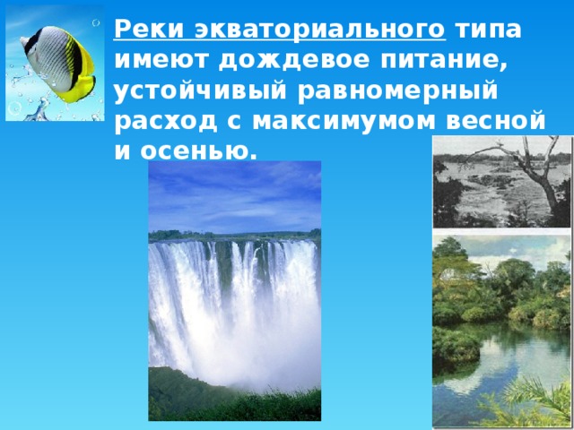 Реки экваториального типа имеют дождевое питание, устойчивый равномерный расход с максимумом весной и осенью. 