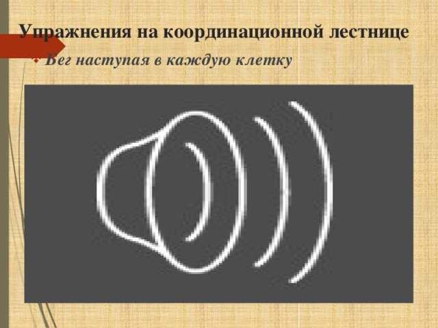 Упражнения на координационной лестнице
