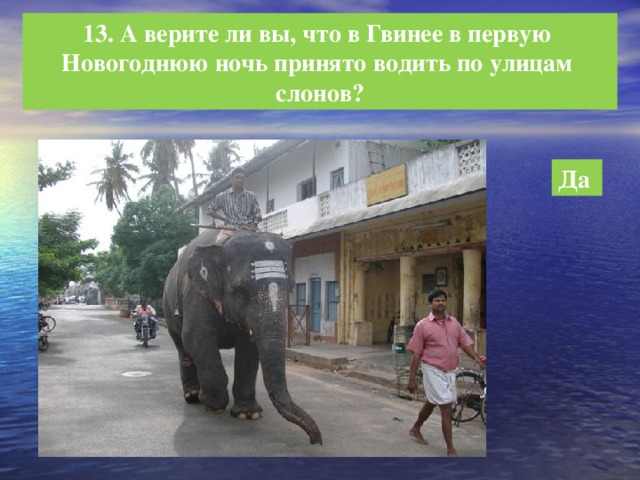 13. А верите ли вы, что в Гвинее в первую Новогоднюю ночь принято водить по улицам слонов? Да