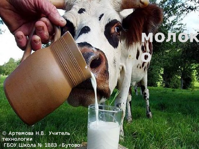 Урок. Молоко и молочные продукты. 6 класс