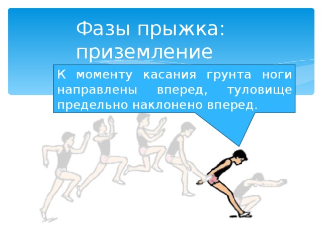 Фазы прыжка: приземление К моменту касания грунта ноги направлены вперед, туловище предельно наклонено вперед. 