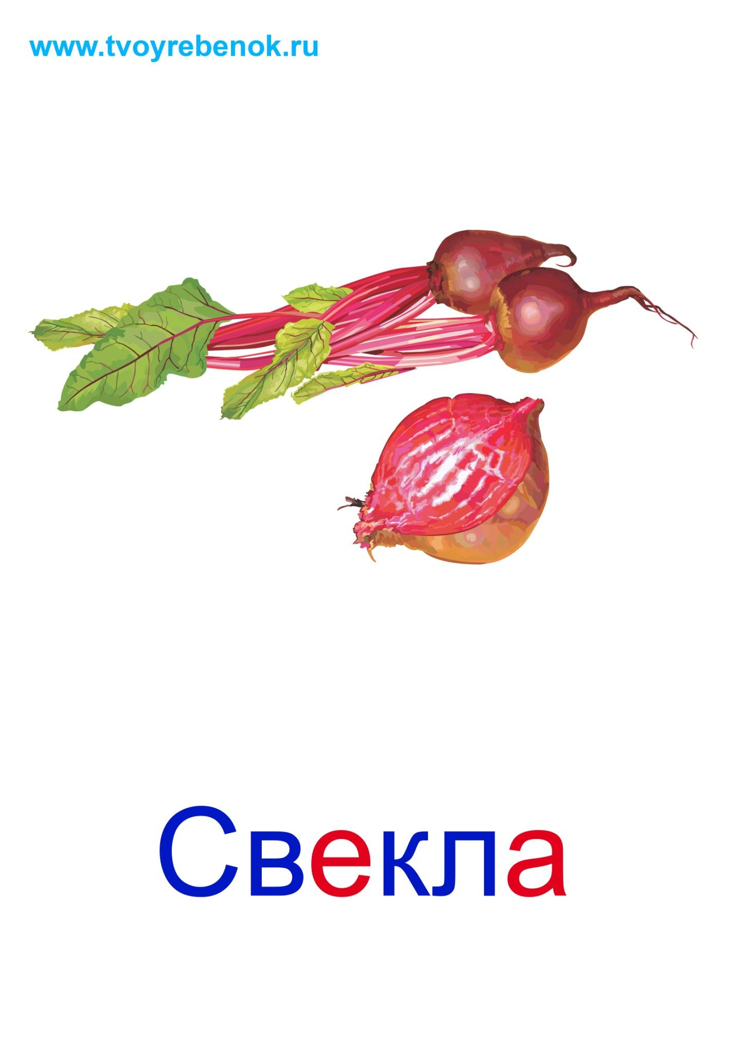 Загадки Про Редис