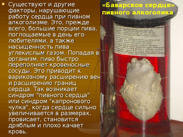 «Баварское сердце»  пивного алкоголика Существуют и другие факторы, нарушающие работу сердца при пивном алкоголизме. Это, прежде всего, большие порции пива, поглощаемые в день его любителями, а также насыщенность пива углекислым газом. Попадая в организм, пиво быстро переполняет кровеносные сосуды. Это приводит к варикозному расширению вен и расширению границ сердца. Так возникает синдром 