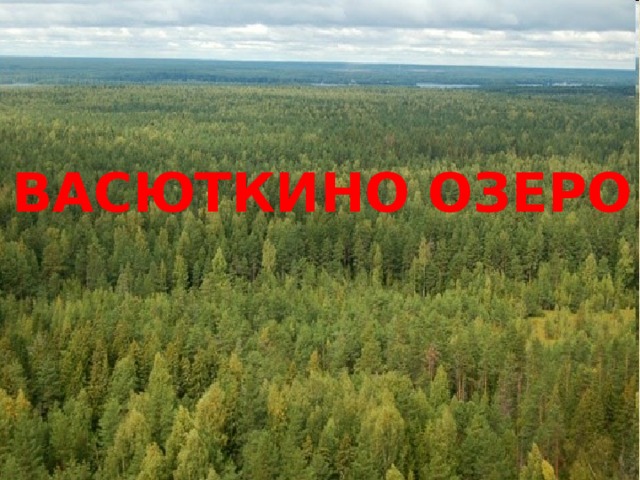 ВАСЮТКИНО ОЗЕРО 