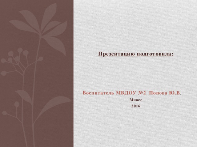 Презентацию подготовила: Воспитатель МБДОУ №2 Попова Ю.В . Миасс 2016 