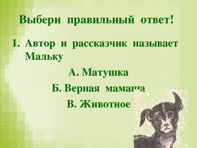 План малька провинилась