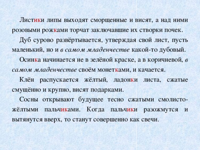  Лист ик и липы выходят сморщенные и висят, а над ними розовыми рож к ами торчат заключавшие их створки почек.  Дуб сурово развёртывается, утверждая свой лист, пусть маленький, но и в  самом младенчестве какой-то дубовый.  Осин к а начинается не в зелёной краске, а в коричневой, в самом младенчестве своём монет к ами, и качается.  Клён распускается жёлтый, ладон к и листа, сжатые смущённо и крупно, висят подарками.  Сосны открывают будущее тесно сжатыми смолисто- жёлтыми пальч ик ами. Когда пальч ик и разожмутся и вытянутся вверх, то станут совершенно как свечи. 