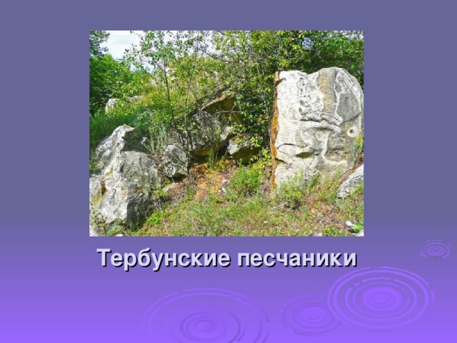 Тербунские песчаники 