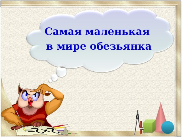 Самая маленькая в мире обезьянка 