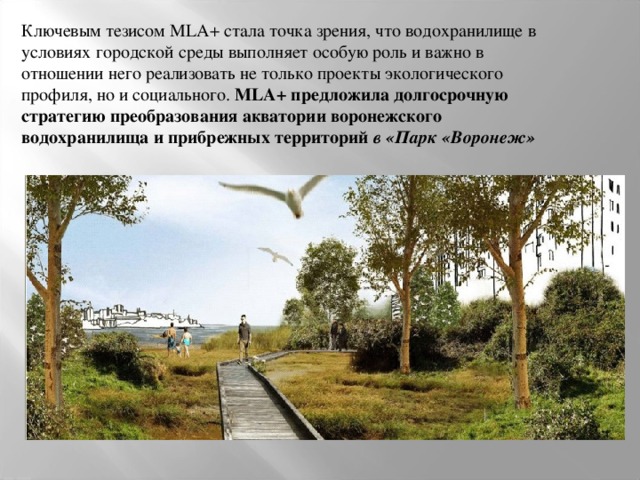 Ключевым тезисом MLA+ стала точка зрения, что водохранилище в условиях городской среды выполняет особую роль и важно в отношении него реализовать не только проекты экологического профиля, но и социального. MLA+ предложила долгосрочную стратегию преобразования акватории воронежского водохранилища и прибрежных территорий в «Парк «Воронеж» 