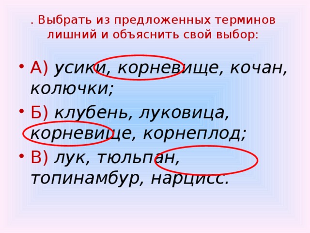 . Выбрать из предложенных терминов лишний и объяснить свой выбор: А) усики, корневище, кочан, колючки; Б) клубень, луковица, корневище, корнеплод; В) лук, тюльпан, топинамбур, нарцисс. 