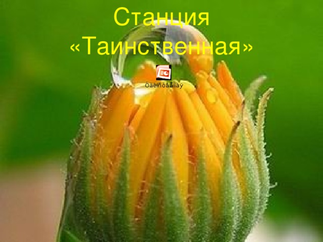 Станция «Таинственная» 