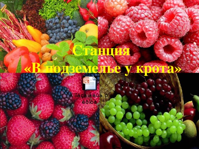 Станция  «В подземелье у крота» 