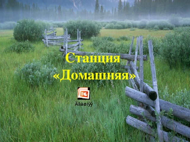 Станция  «Домашняя» 