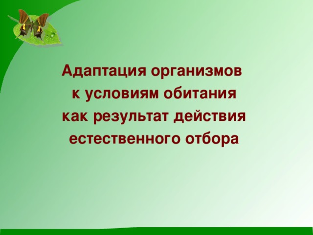 Приспособленность результат действия естественного отбора