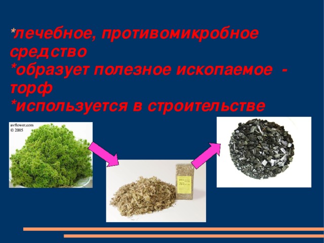 * лечебное, противомикробное средство  *образует полезное ископаемое - торф  *используется в строительстве