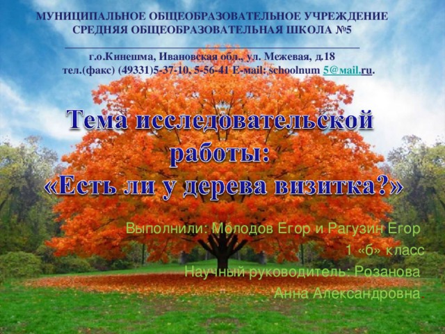 МУНИЦИПАЛЬНОЕ ОБЩЕОБРАЗОВАТЕЛЬНОЕ УЧРЕЖДЕНИЕ СРЕДНЯЯ ОБЩЕОБРАЗОВАТЕЛЬНАЯ ШКОЛА №5 _____________________________________________________ г.о.Кинешма, Ивановская обл., ул. Межевая, д.18  тел.(факс) (49331)5-37-10, 5-56-41 Е-маil: schoolnum 5@ма il . ru . Выполнили: Молодов Егор и Рагузин Егор 1 «б» класс Научный руководитель: Розанова Анна Александровна .