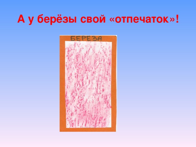 А у берёзы свой «отпечаток»!
