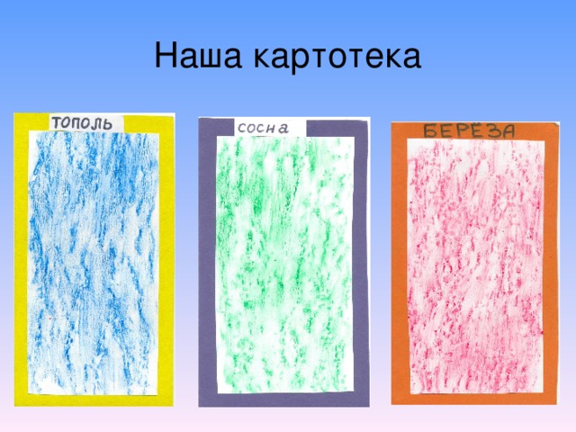 Наша картотека