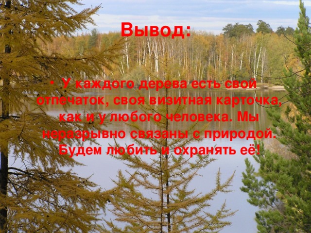 Вывод: