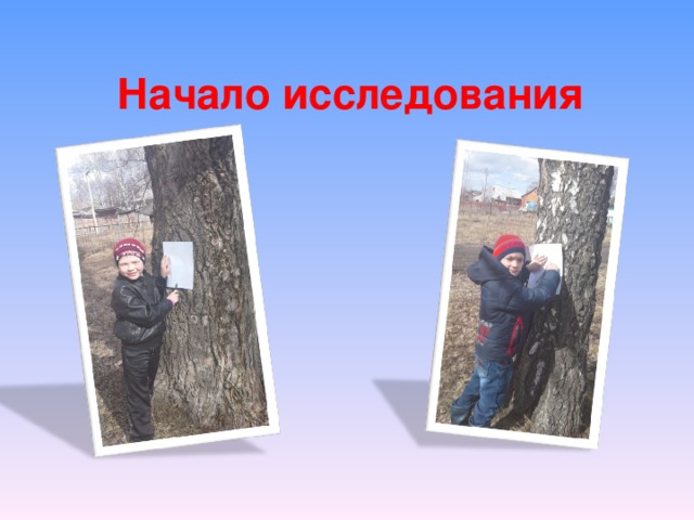 Начало исследования
