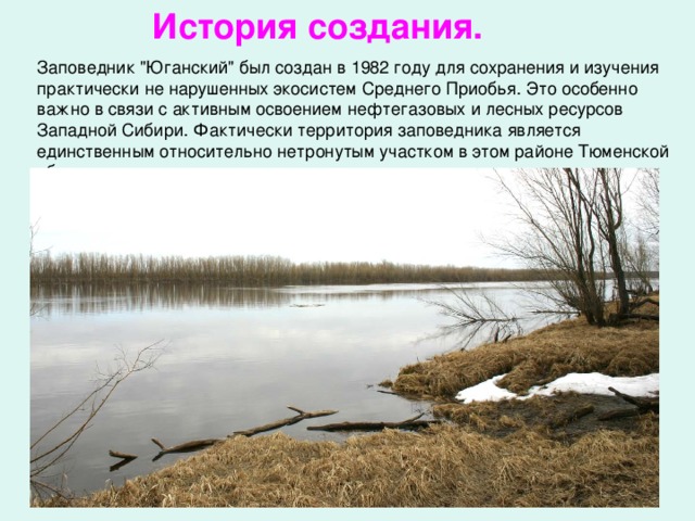 Что включает в себя проект разработки месторождения