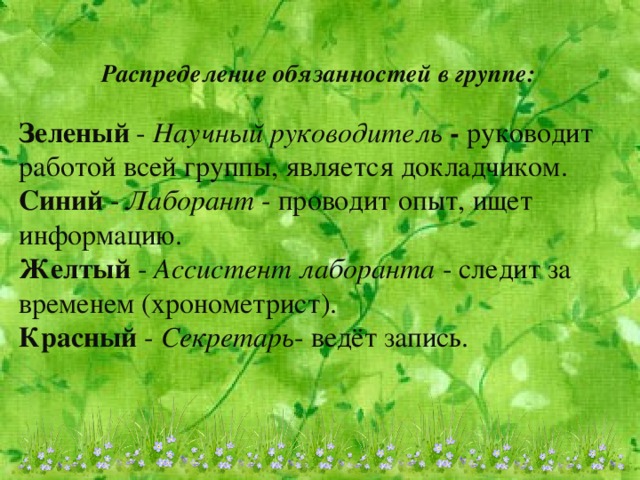 Распределение обязанностей в группе: Зеленый - Научный руководитель - руководит работой всей группы, является докладчиком. Синий - Лаборант - проводит опыт, ищет информацию. Желтый - Ассистент лаборанта - следит за временем (хронометрист). Красный - Секретарь - ведёт запись.