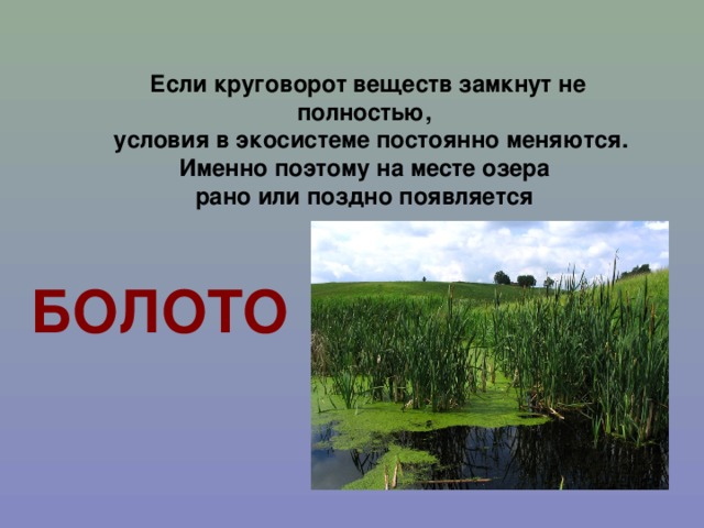 Если круговорот веществ замкнут не полностью,  условия в экосистеме постоянно меняются. Именно поэтому на месте озера рано или поздно появляется БОЛОТО 