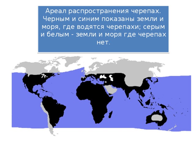 Ареал распространения черепах. Черным и синим показаны земли и моря, где водятся черепахи; серым и белым - земли и моря где черепах нет . 