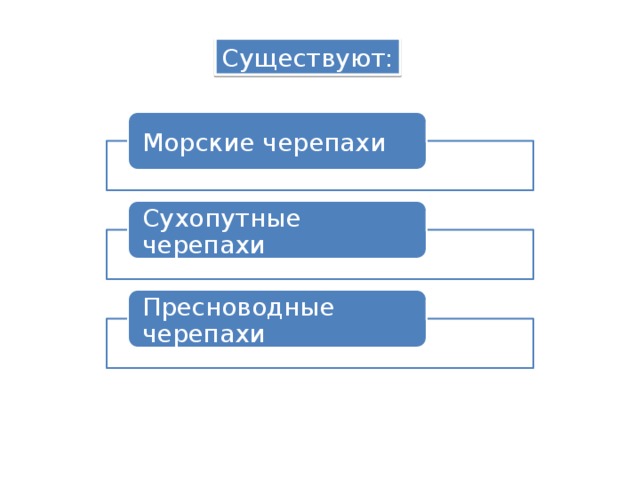 Существуют: Морские черепахи Сухопутные черепахи Пресноводные черепахи 