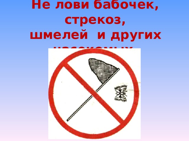 Не Ловите Бабочек Знак