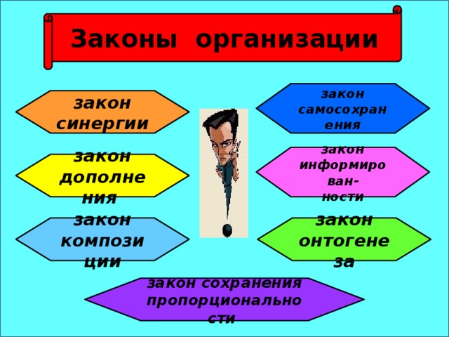 Законы организации закон самосохранения закон  синергии закон информирован- ности закон дополнения закон композиции закон онтогенеза закон сохранения  пропорциональности  