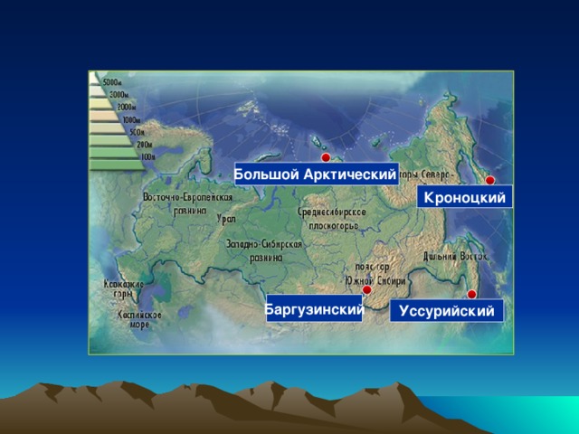 Баргузинский Большой Арктический Кроноцкий Уссурийский 