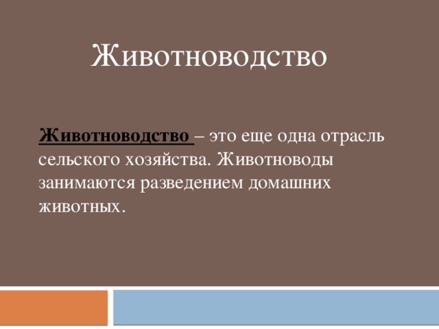 Животноводство Животноводство – это еще одна отрасль сельского хозяйства. Животноводы занимаются разведением домашних животных. 