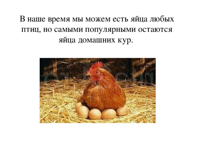 сценарий всемирный день яйца. img11. сценарий всемирный день яйца фото. сценарий всемирный день яйца-img11. картинка сценарий всемирный день яйца. картинка img11. Цель внеклассного мероприятия: расширение кругозора учащихся.