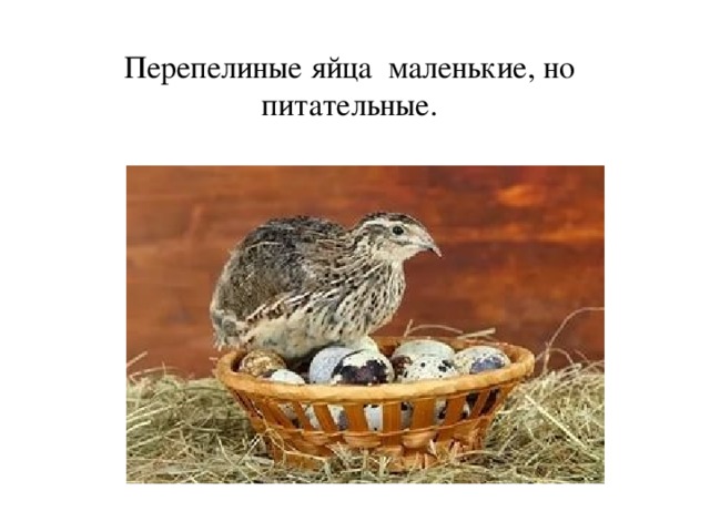 сценарий всемирный день яйца. img12. сценарий всемирный день яйца фото. сценарий всемирный день яйца-img12. картинка сценарий всемирный день яйца. картинка img12. Цель внеклассного мероприятия: расширение кругозора учащихся.