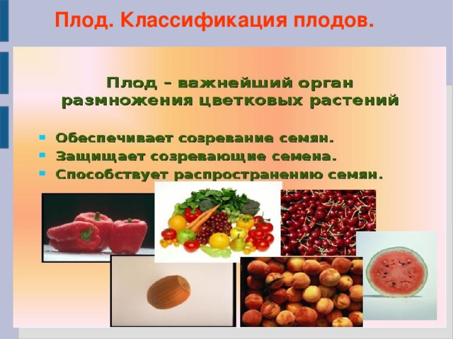 Мякоть плодов образована тканью. Образование плода. Оплодотворение образование плодов и семян 6 класс. Оплодотворение. Образование плодов и семян кроссворд. Кроссворд на тему "оплодотворение. Образование плодов и семян".