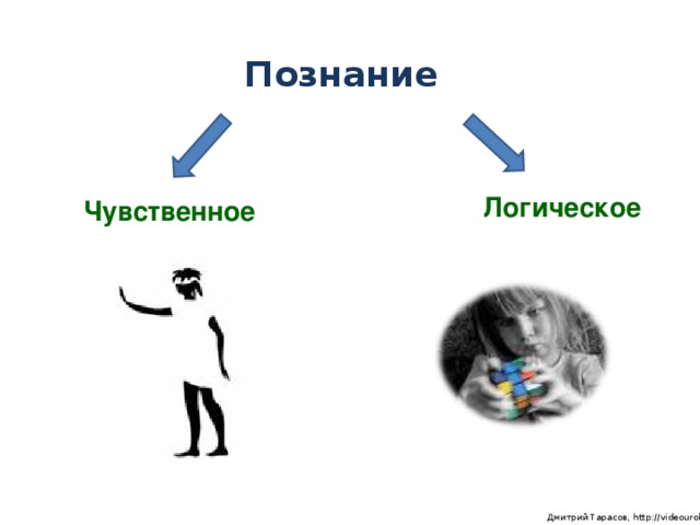 Познание Логическое Чувственное  Дмитрий Тарасов, http://videouroki.net