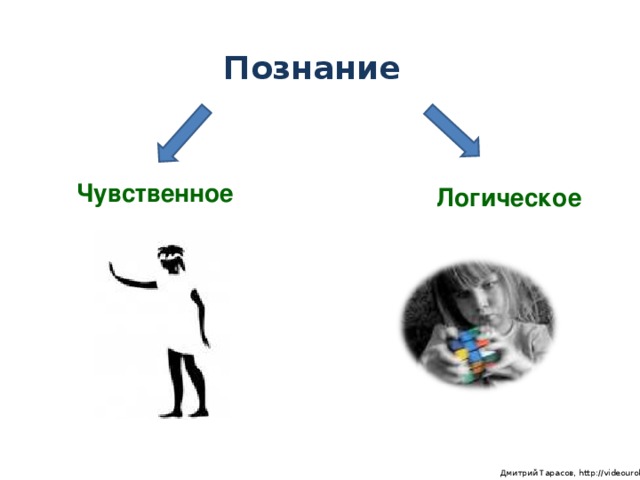 Познание Чувственное Логическое  Дмитрий Тарасов, http://videouroki.net